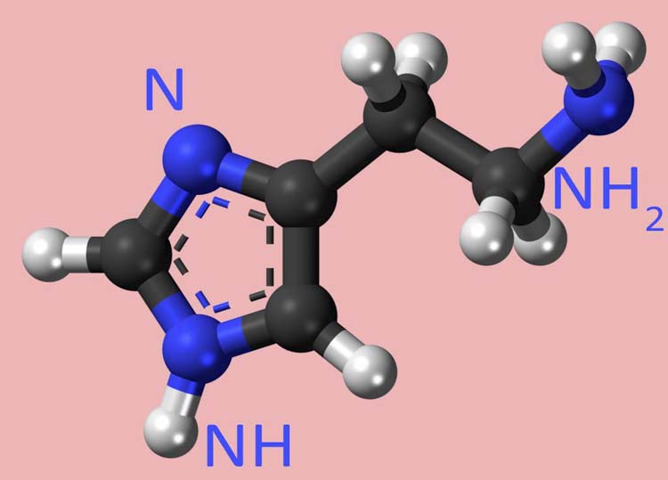 Comprendre les mécanismes physiopathologiques à l’origine l’histaminose