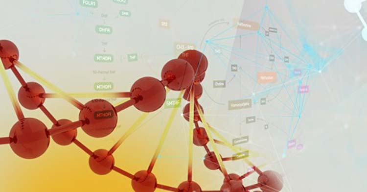 La méthylation, à quoi ça sert ? Méthylation et dégradation de l’histamine dans l’intestin La méthylation, à quoi ça sert ? Méthylation et dégradation de l’histamine dans l’intestin